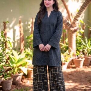 bonanza 2pcs chikankari